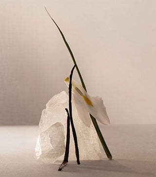 Image left