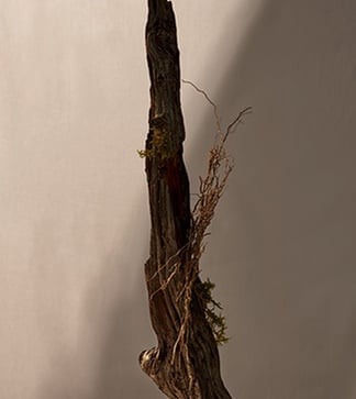 Image left